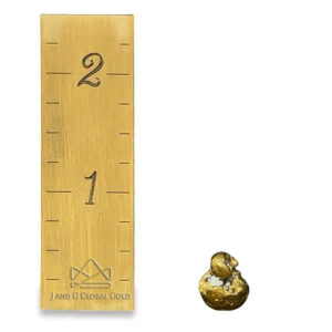 6.9 Gram Natural Gold Nugget from Chicken, Alaska - Alaska Mint