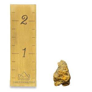 8.5 Gram Natural Gold Nugget from Hope, Alaska - Alaska Mint